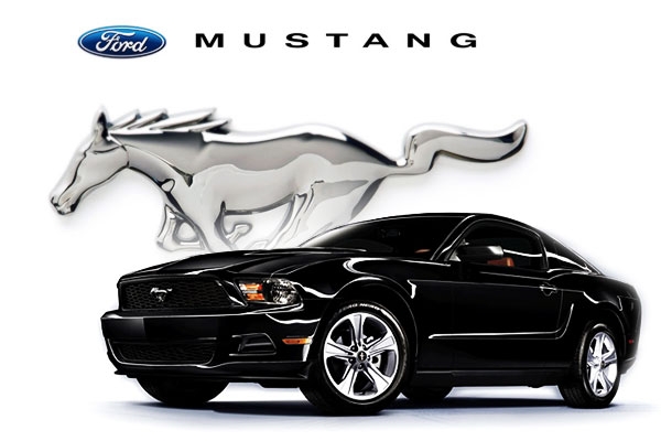 100 Ford Mustang Full HD Cars Wallpapers 1920x1080 65104 