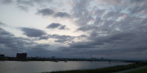 江戸川の土手から見た風景