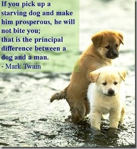dogs by our sides p4
