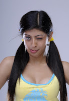 Kannada, actress, Pranitheea, spicy, stills