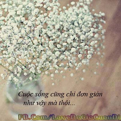   bao tri may tinh gia re