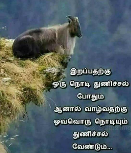 Sad Motivational Quotes Tamil Free Download