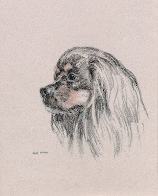 dog drawing