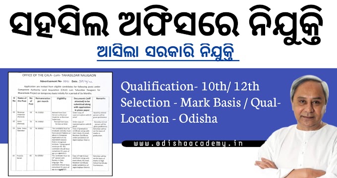 Odisha RI and DEO Recruitment 2023, Revenue Inspector , Data Entry Operator , Amin