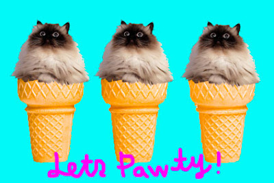 Ice cream cat