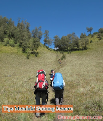 Tips Mendaki Gunung Semeru Bagi Pemula dan Senior