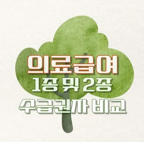 의료급여 1종 및 2종 수급권자 비교