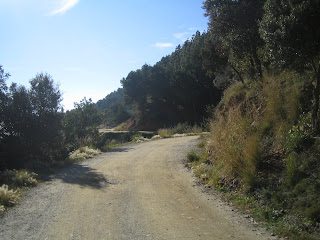 Sendero del Parque de la Collserola