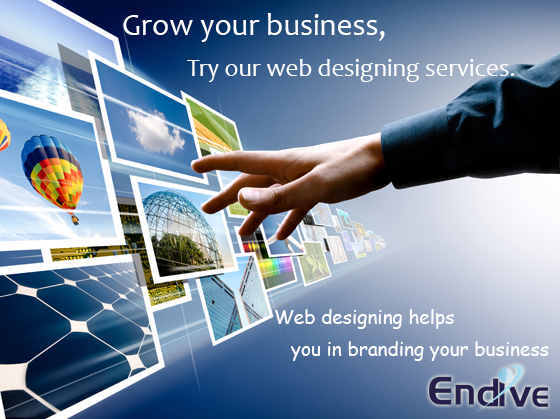 http://www.endivesoftware.com/web-design-services.php