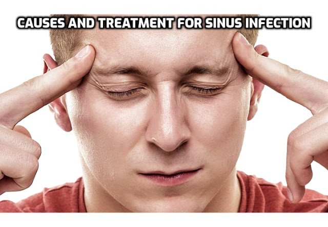 The treatment for sinus infection includes antibiotics, use of nasal sprays, inhaling steam from a vaporizer, intaking hot fluids, applying a paste of cinnamon with water, or ginger with milk, or basil leaves mixed with cloves and dried ginger.  