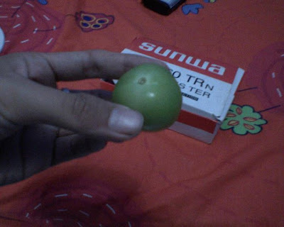 Membuat Baterai atau Listrik Dari Buah Tomat