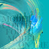 '2025 THE BEST MODEL ON THE RUNWAY 1st' 7월 25일 개최
