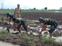 Danramil dan Babinsa Ikut Cangkul Sawah