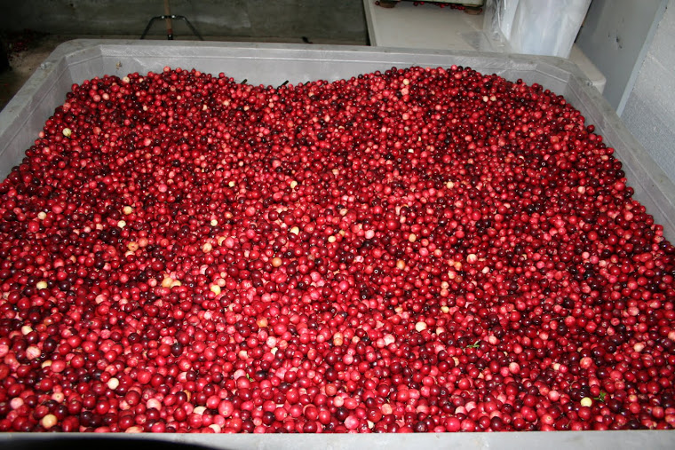 YELLOWPOINT CRANBERRY FARM