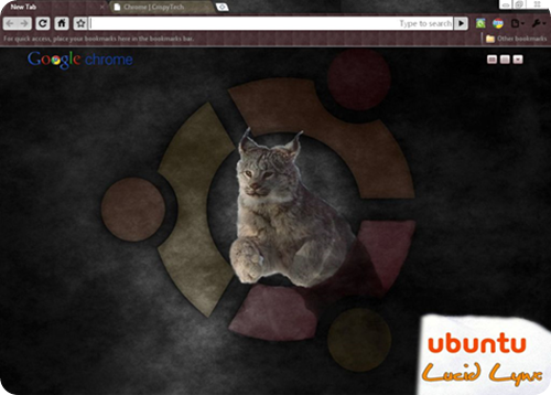 ubuntu_lucid_lynx_google_chrome_theme