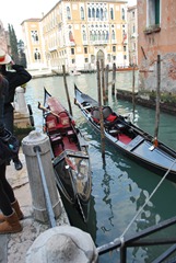 d 33 Venice (41)