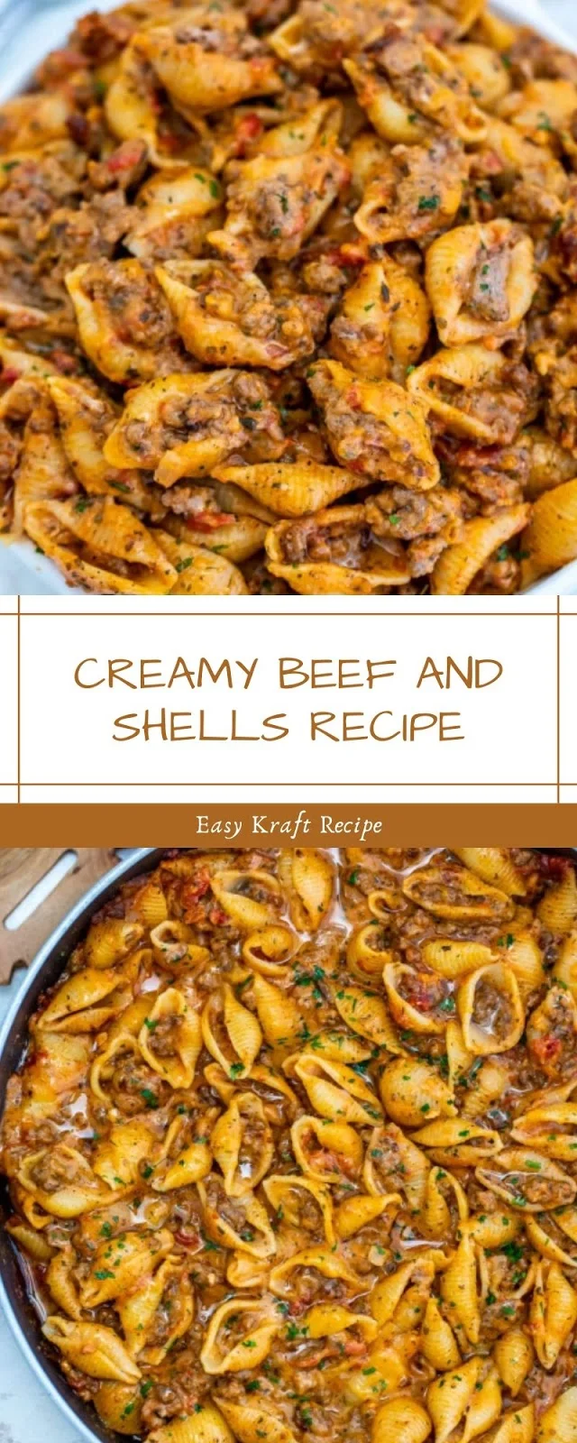 CREAMY BEEF AND SHELLS RECIPE