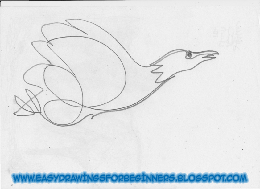 How to draw an bird 