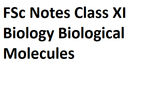 FSc Notes Class XI Biology Biological Molecules fscnotes0
