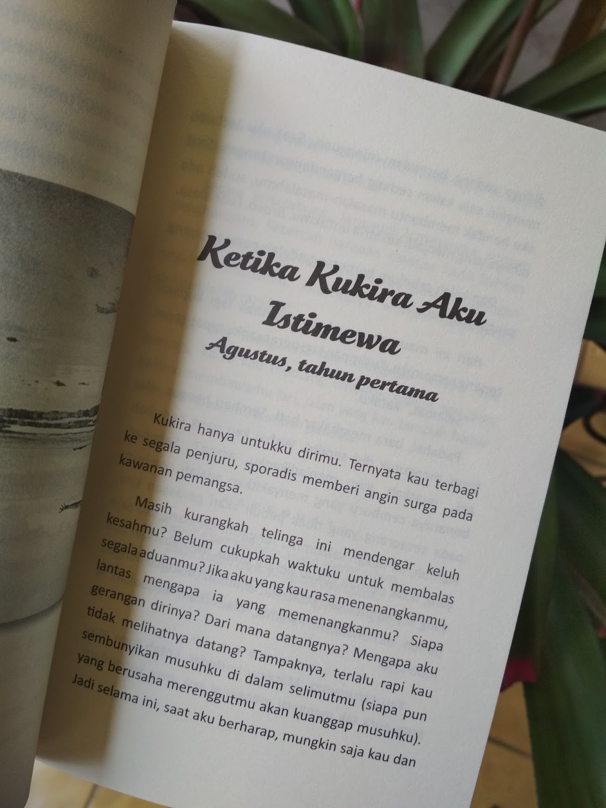 [Resensi Buku] Garis Waktu oleh Fiersa Besari - lidinlidin