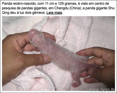 JÁ VIU UM ASSIM1