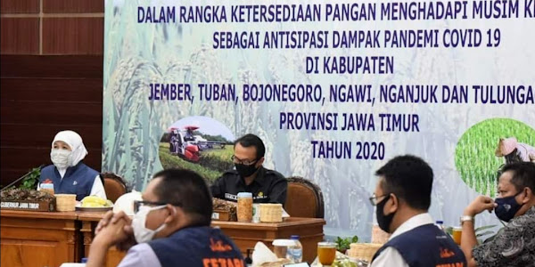 Gunernur Khofifah Minta Masa Tanam Padi Dipercepat