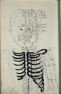Japanese rare book acupuncture schematic