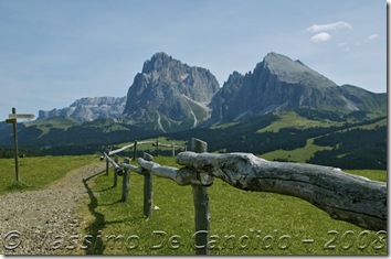 Alpe_Siusi_2008_SassoLungo6