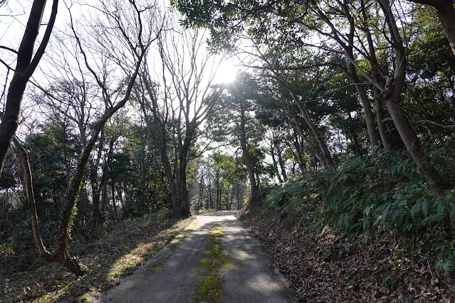 鳥取県西伯郡大山町妻木 むきばんだ史跡公園 弥生の森