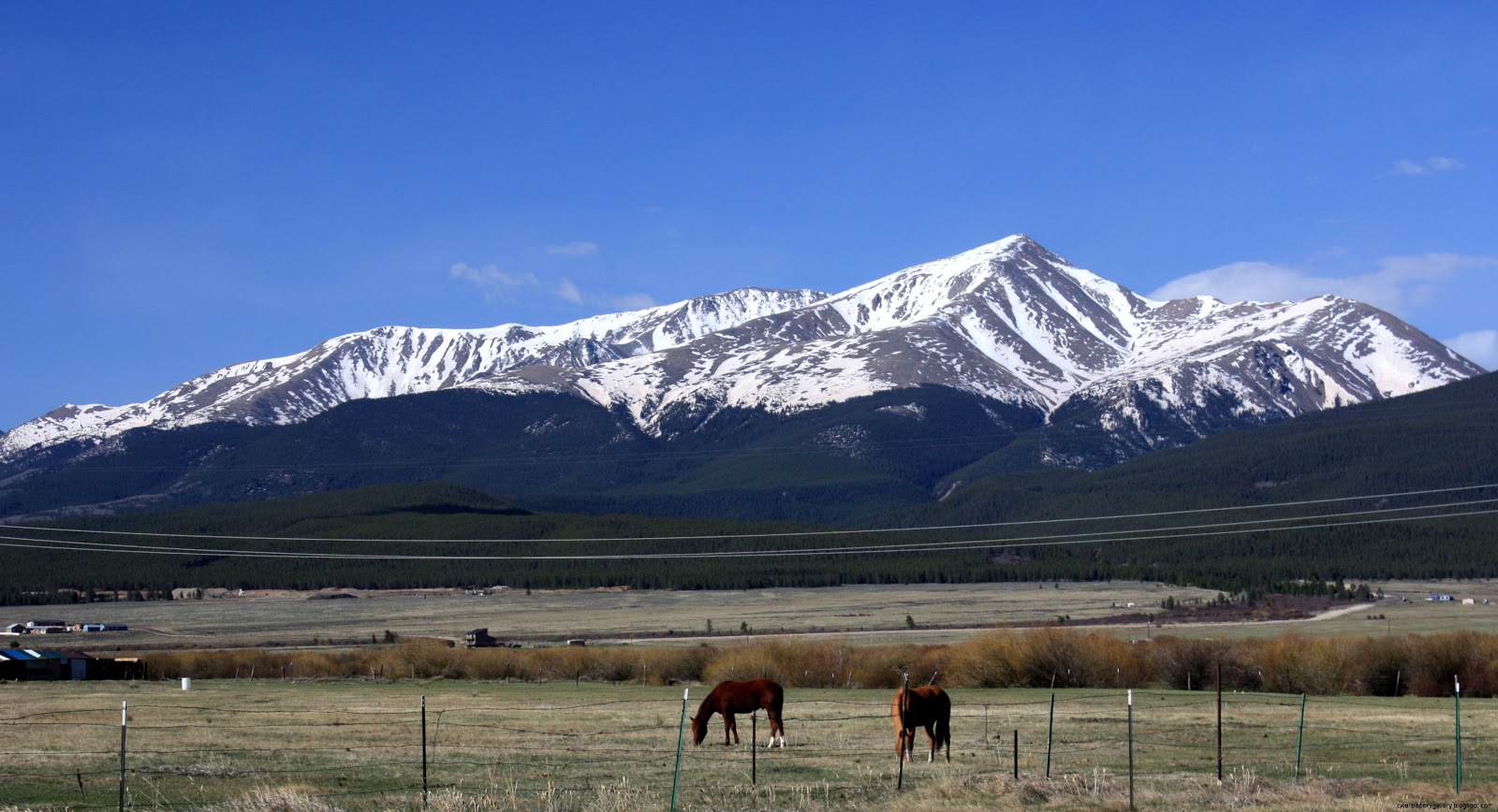 Mount Elbert