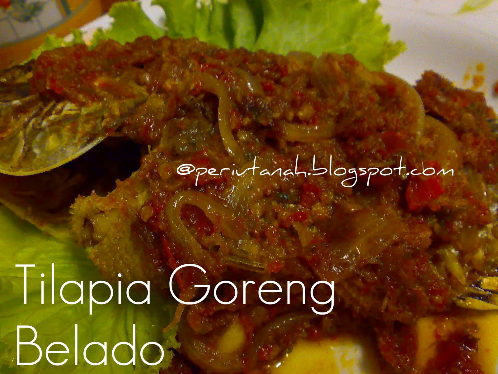 Periuktanah: Ikan Tilapia Goreng Belado (berlada)