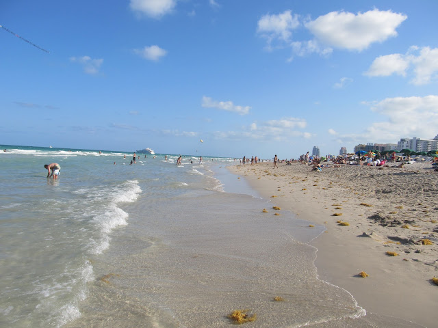 miami beach, scenery, teresita blanco