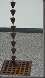 P1070216 (Large)