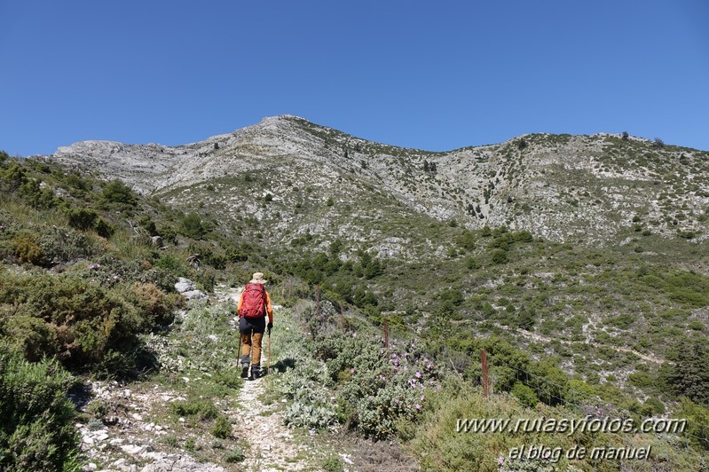 Puerto Corona-Oreganeros-Torrecilla-Atalayas