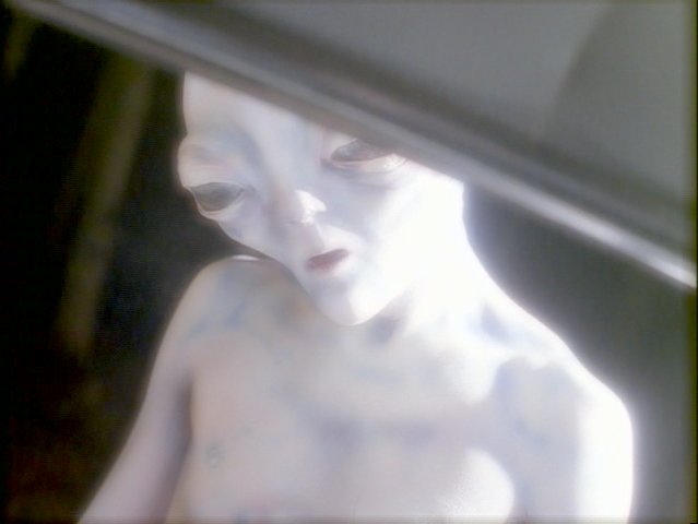 Grey Alien