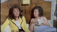 the lovers 1973 film paula wilcox