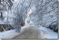 paisajes nevados (34)