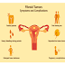 Fibroid Pack – Shrink and Eliminate Fibroid.