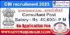 CBI Recruitment 2023 - Apply For 02 Consultant Posts Latest Vacancies @www.cbi.gov.in