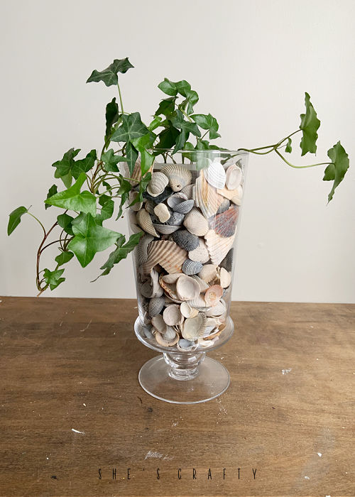 Summer Centerpiece - shells in glass jar with plant.
