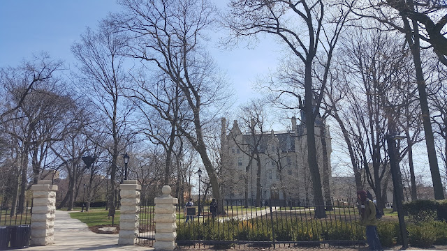 northwestern-university