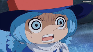 ワンピースアニメ トンタッタ海賊団 ウィッカ WICCA 小人族 ONE PIECE Tontatta Pirates