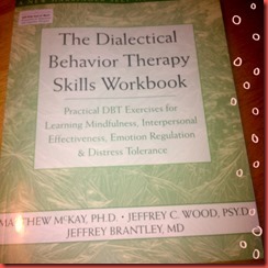 dbt book