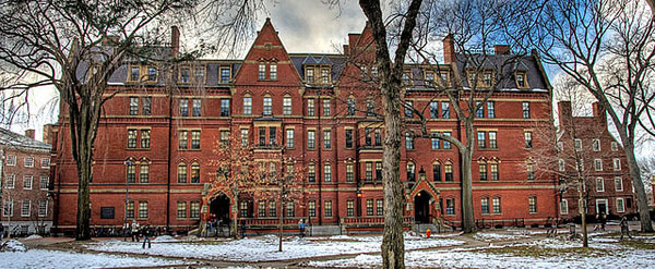 top Harvard university