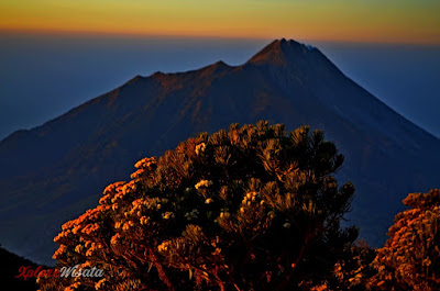 Sabana 1 - View Edelways dan Gunung Merapi dai Jalur Pendakian Via Selo