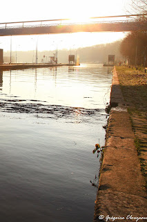 Bord de Seine, Dammarie les Lys 77