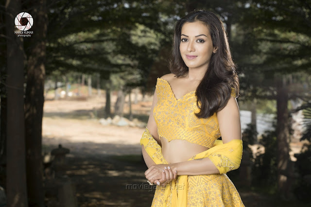 Catherine Tresa Hot Pic In Yellow Ghagra