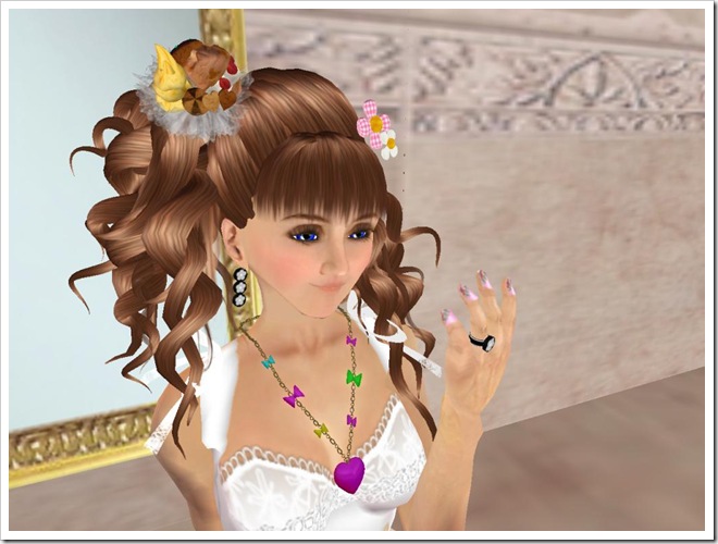 Tvd_20090404a_005