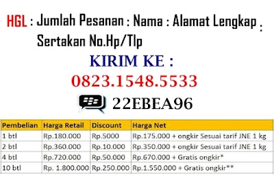 pengobatan penyakit batu ginjal terampuh