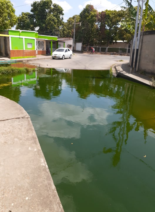 APURE: Habitantes de Comunidad Antonio José de Sucre denuncian calle insalubre diagonal al Faes en San Fernando. 